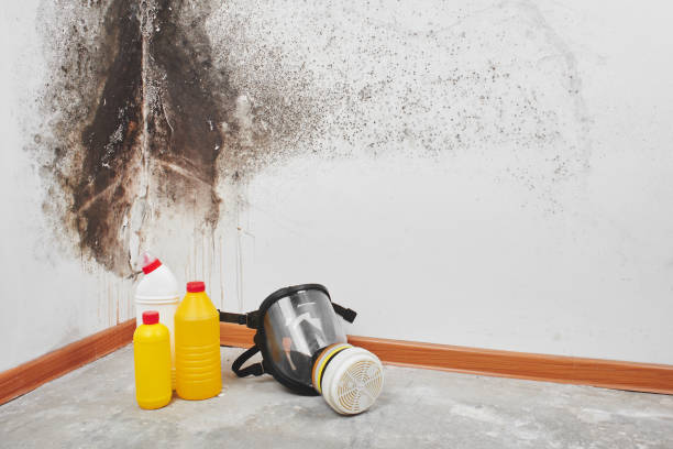 Best Crawl Space Mold Removal  in Penn State Erie, PA