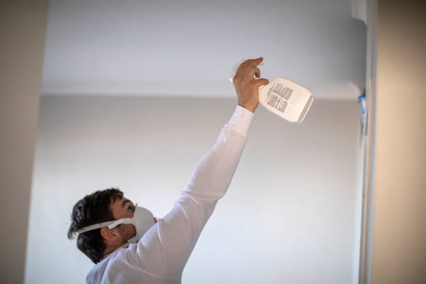 Best Mold Removal Near Me  in Penn State Erie, PA