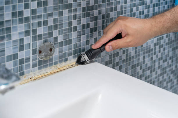 Best Best Mold Removal Companies  in Penn State Erie, PA
