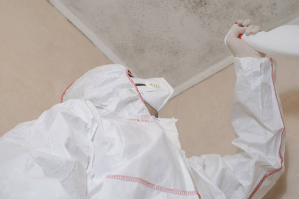 Best Mold Testing  in Penn State Erie, PA
